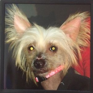 Meet your Posher, Becky